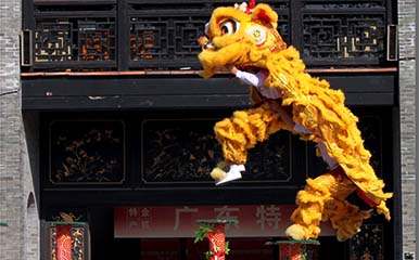 Lion Dancing and Learn Kung Fu Ancestral Hall