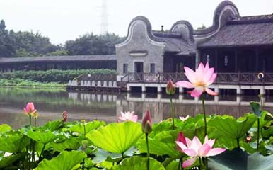 Sanshui Lotus World
