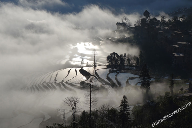 Duoyishi Rice Terraces of Yuanyang in December