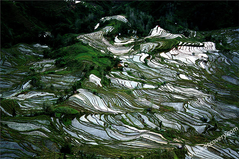 Longshuba Rice Terrace