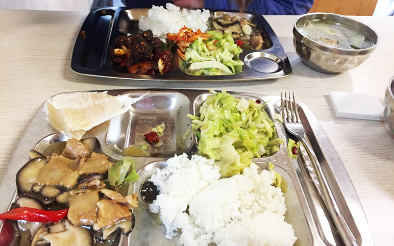 Enjoy Lunch at the Staff Cafeteria at Dujiangyan Panda Base