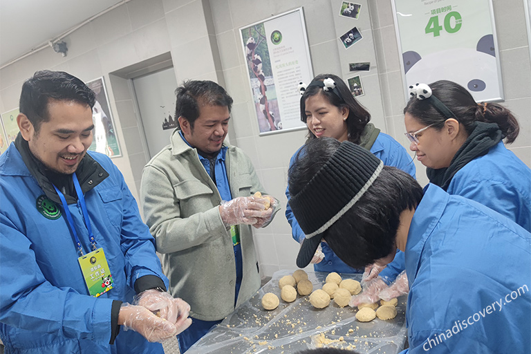 Panda Volunteer Tour at Dujiangyan Panda Base