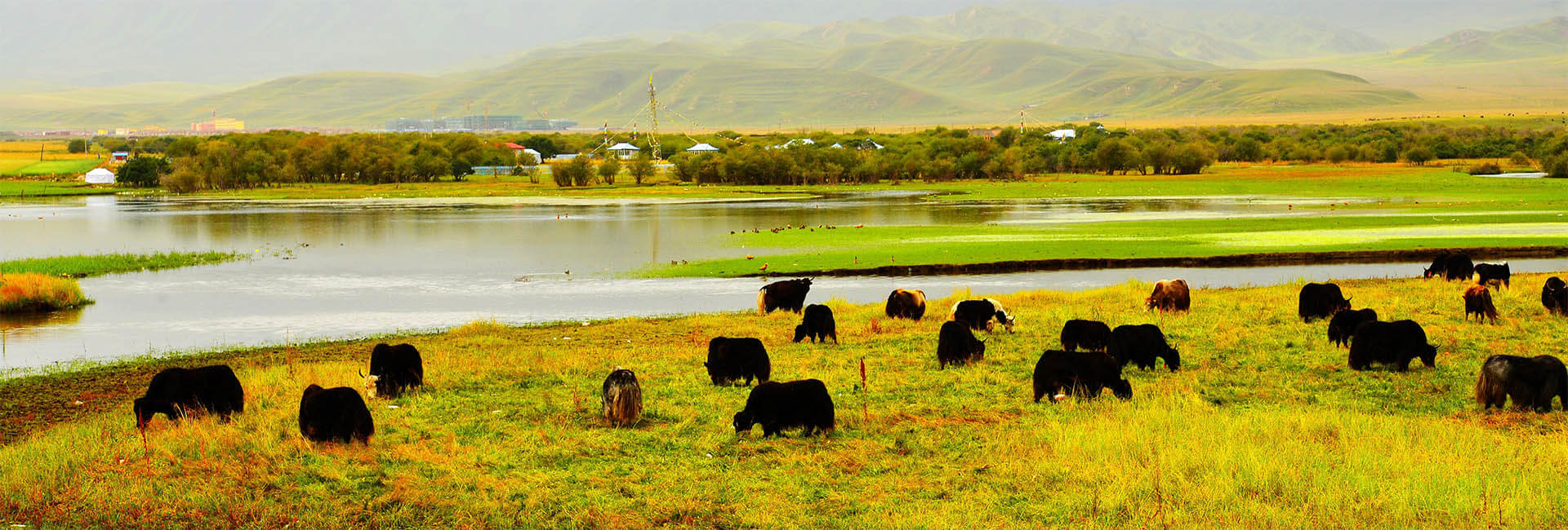 Gansu Tour 2025
