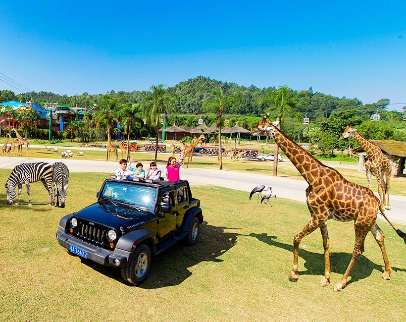 chimelong safari park in chinese