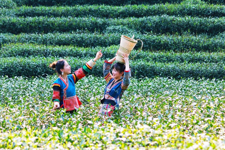 2 Days Hangzhou Tour