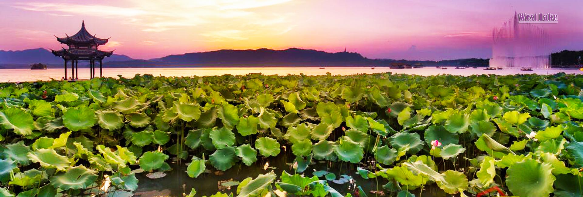 3 Days Hangzhou Tour to Qiandao Lake