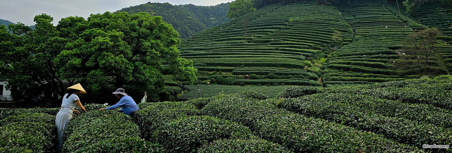 4 Days Hangzhou Suzhou Tour with Zhouzhuang Water Town