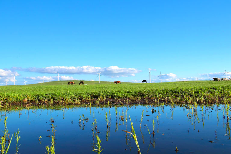 3 Days Hohhot Grassland Tour