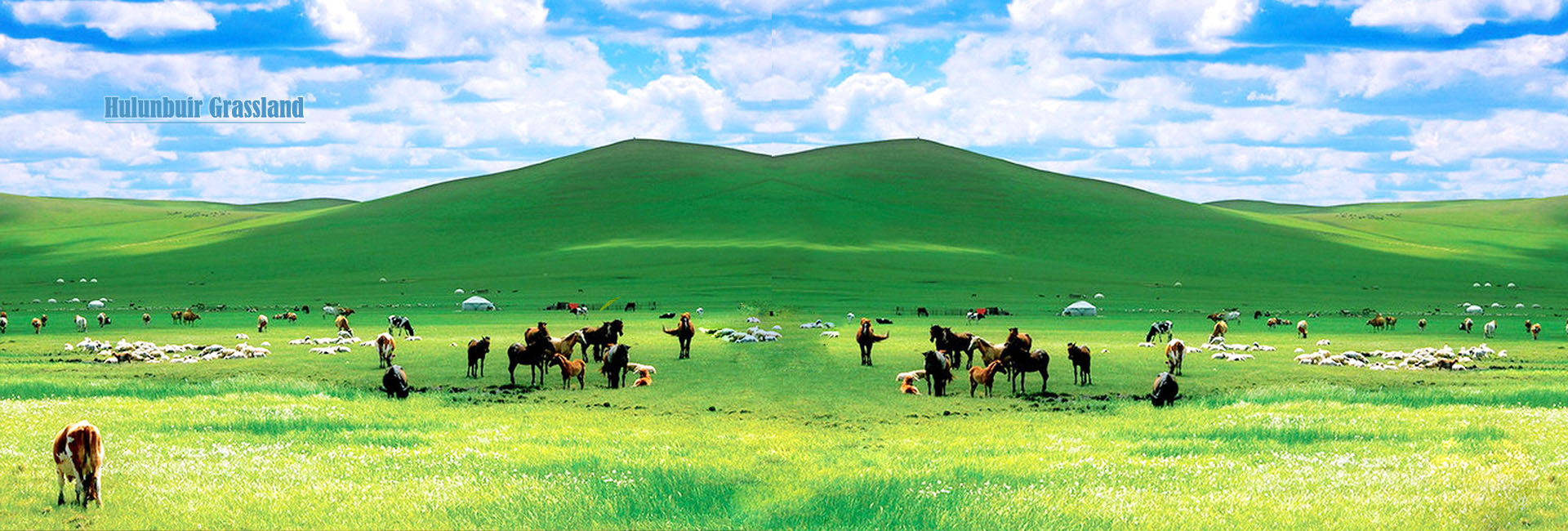 Inner Mongolia Desert and Grassland Tour