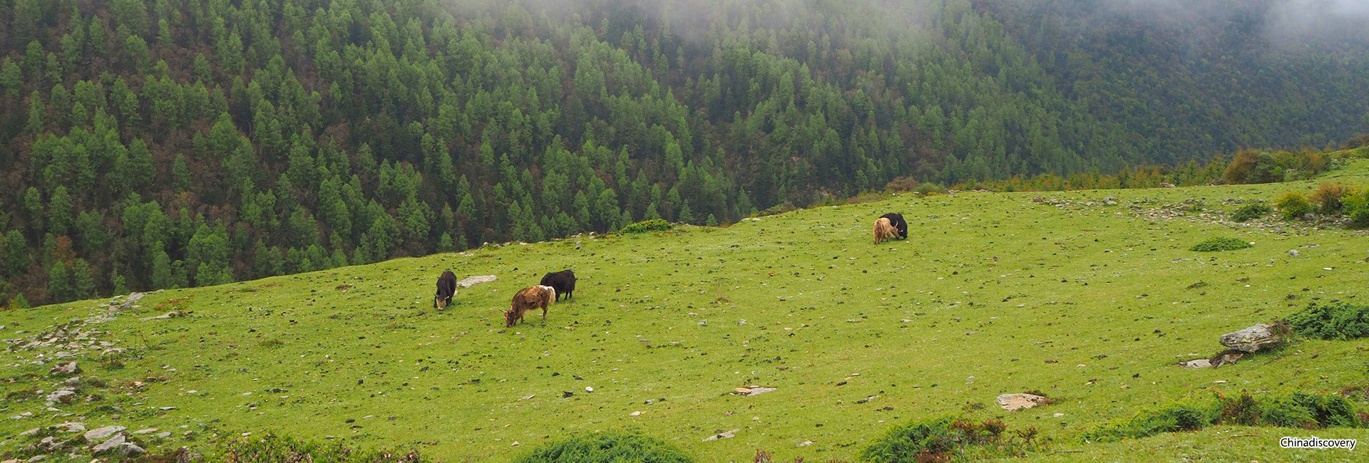 3 Days Mount Siguniang Tour