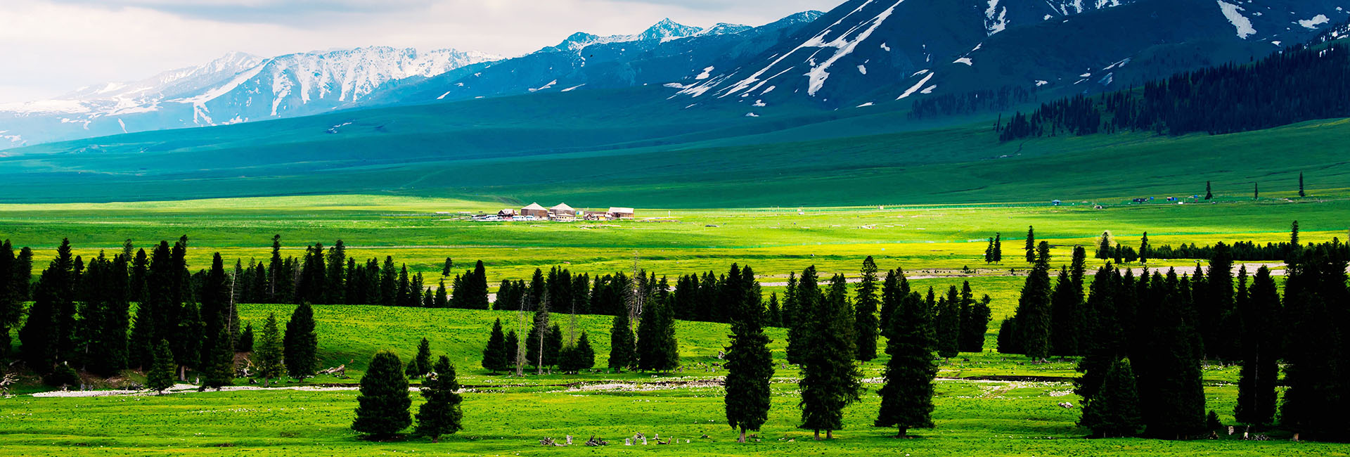 10 Days Stunning Xinjiang Tour including Ili Apricot Blossom and Naraty Grassland 2024/2025