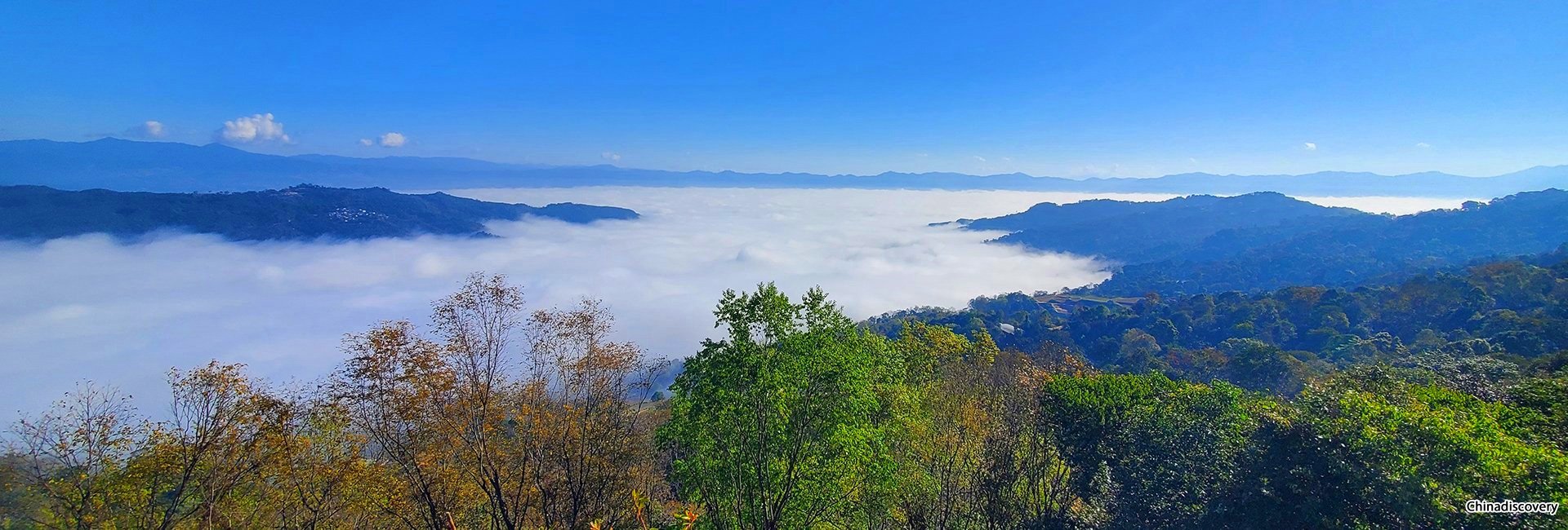 3 Days Jingmai Mountain Tour