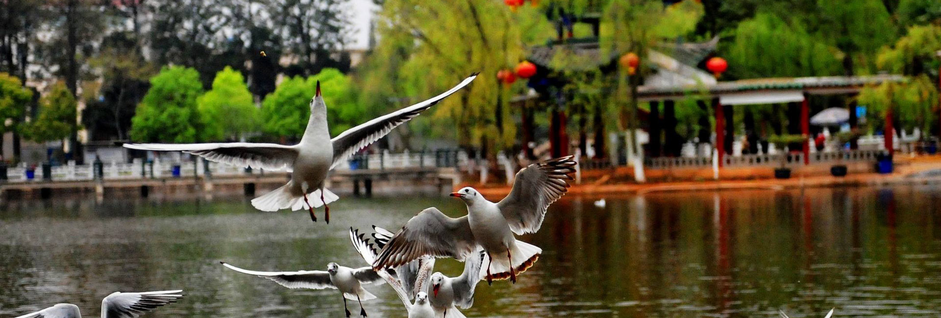 Kunming Green Lake