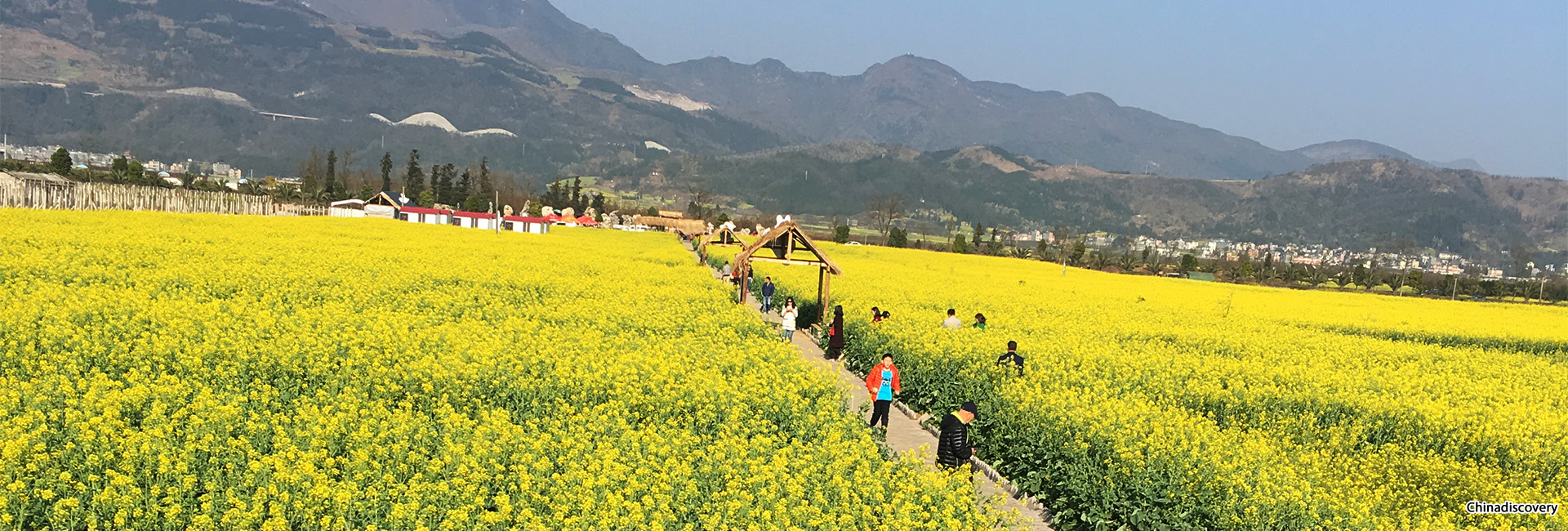 Kunming Luoping Tour