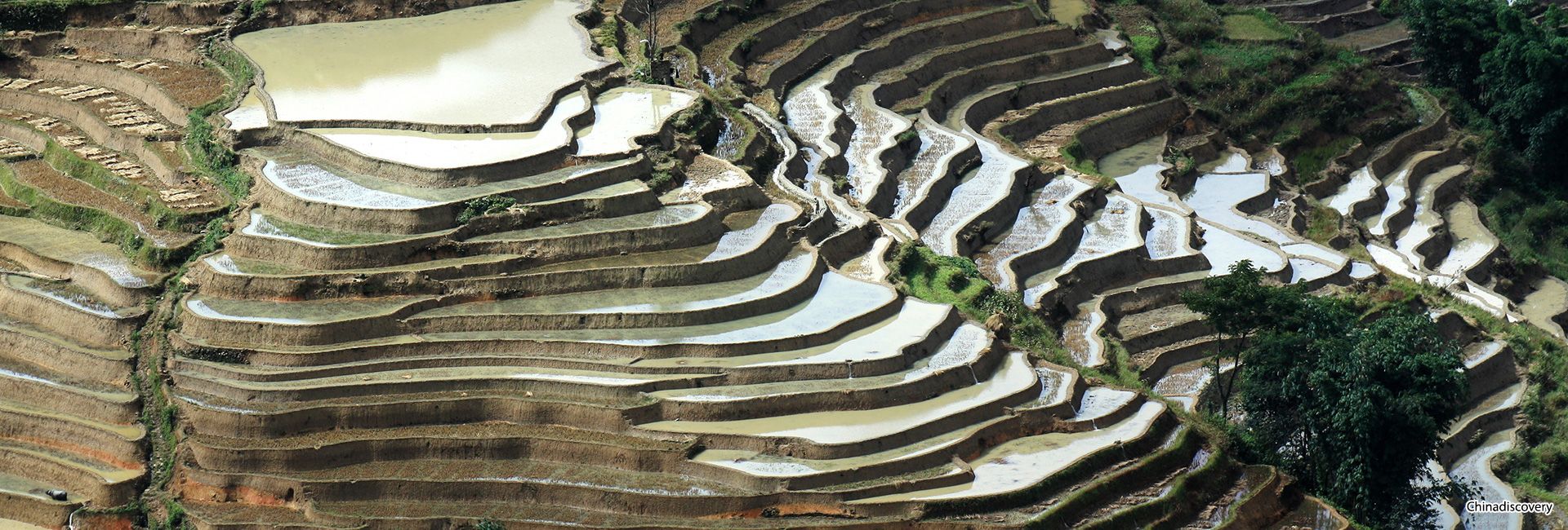 Yuanyang Rice Terraces