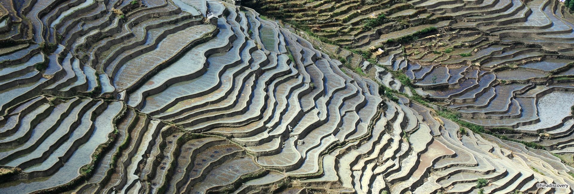 Yuanyang Rice Terraces