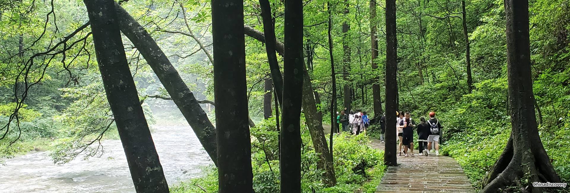 Zhangjiajie Hiking Tour