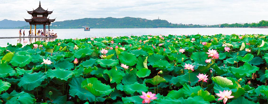 Hangzhou Food Tour 2025
