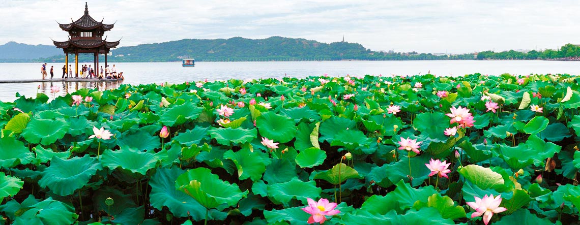 Hangzhou Food Tour 2024