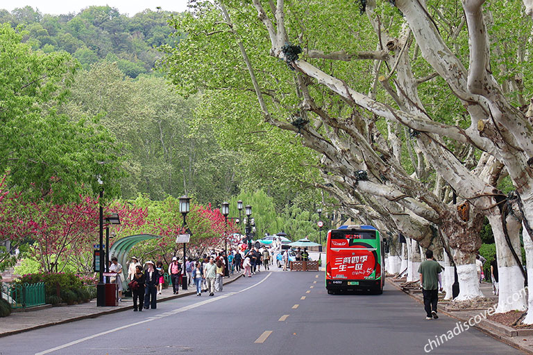 Hangzhou Public Buses