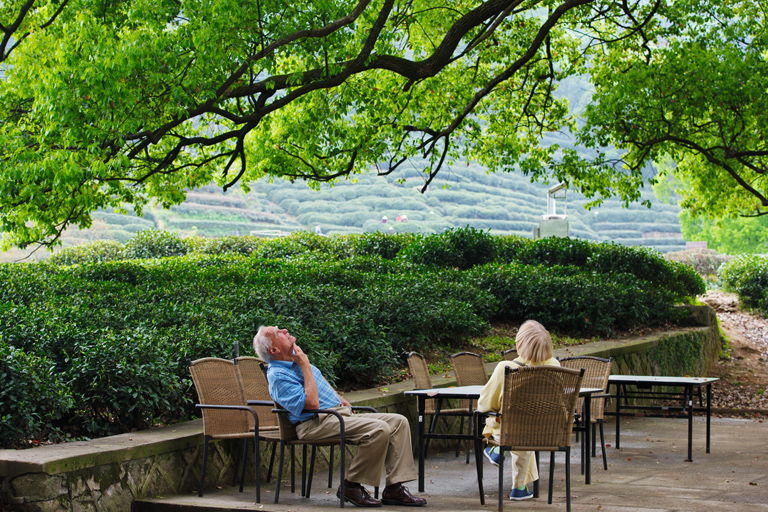 Relax at Dragon Well Tea Plantation