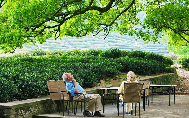 Relax at Dragon Well Tea Plantation