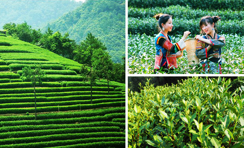 Hangzhou Photography