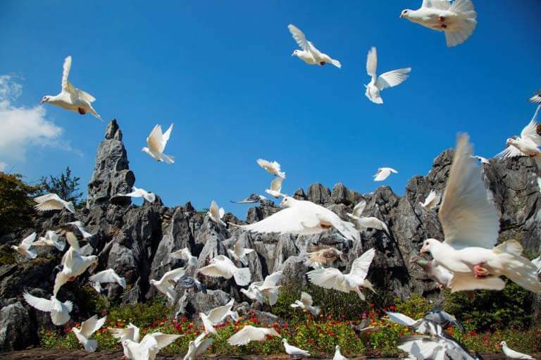 Qiandao Lake Stone Forest (千岛湖石林)