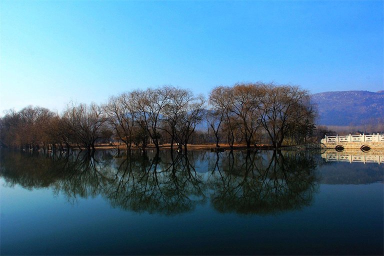 Xixi National Wetland Park in Summer