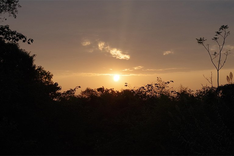 Xixi National Wetland Park