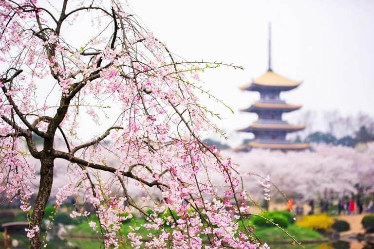 Hangzhou in Spring