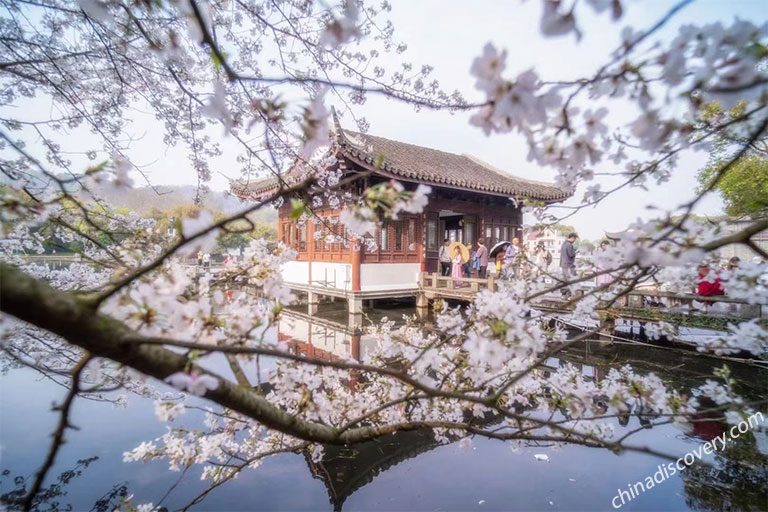 Hangzhou in Spring