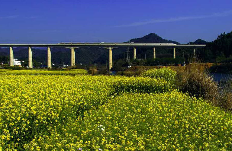 China High Speed Railway Landscapes