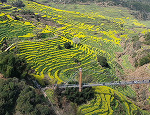 Wuyuan Tour