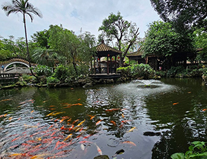 Guangdong Tour