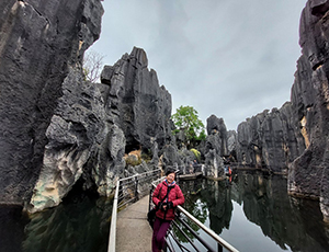 Kunming Tour