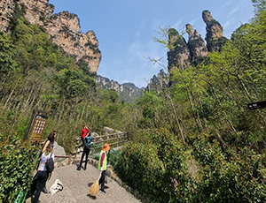 Zhangjiajie Tour