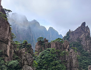 Huangshan Tour