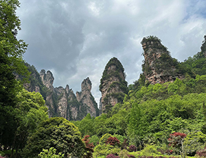 Zhangjiajie Tour