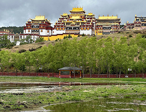 Shangri-La Tour