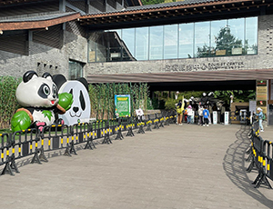 Panda Tour