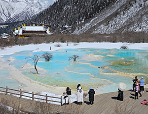 Sichuan Tour