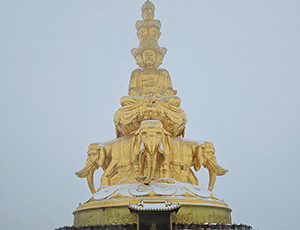 Sichuan Tour