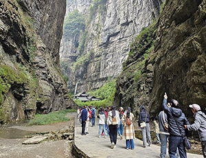 Wulong Tour