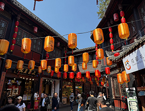 Chengdu Tour