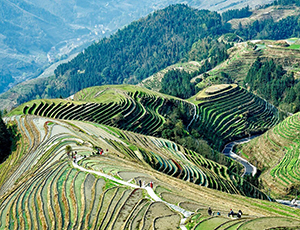 Guilin Tour