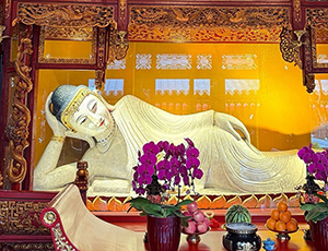 Shanghai Tour