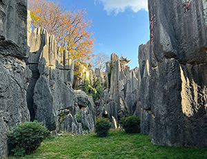 Kunming Tour