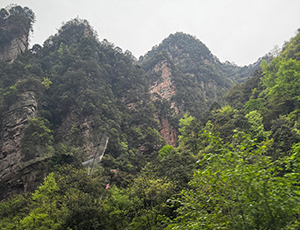 Zhangjiajie Tour