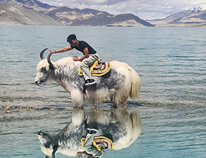 Xinjiang Tour